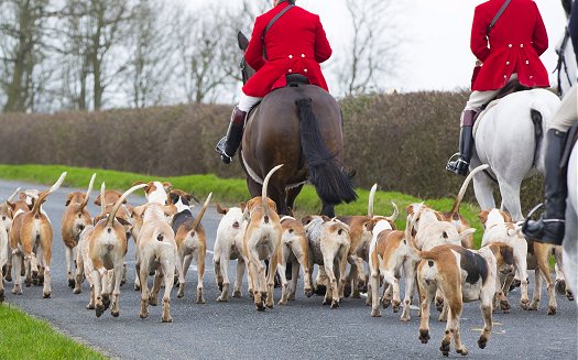 boxing day in england