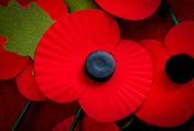 Remembrance Day Celebrations